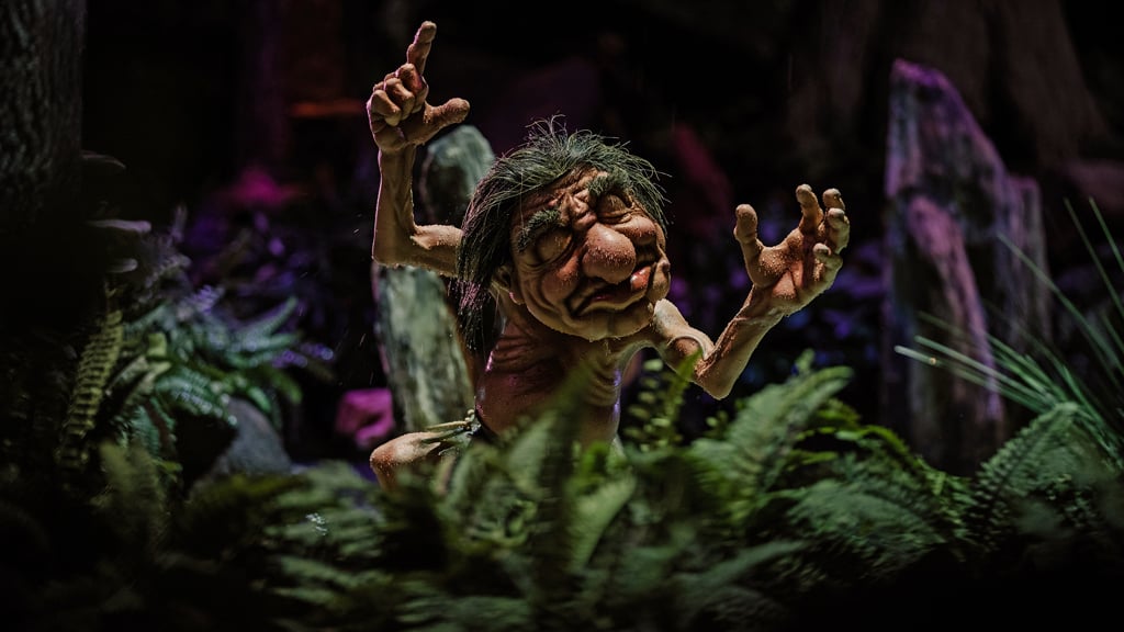 Droomvlucht overzicht