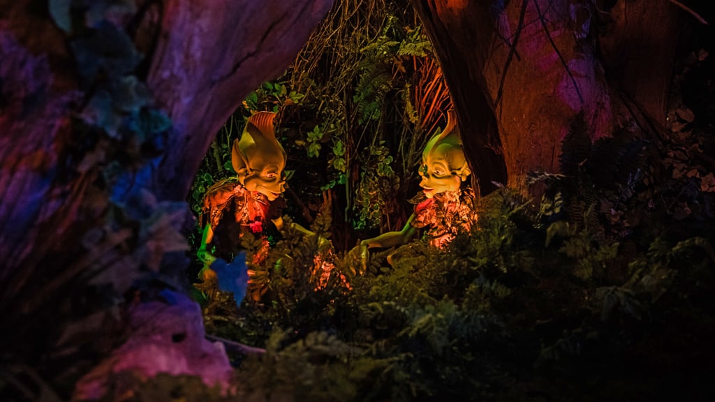 Droomvlucht detail 3